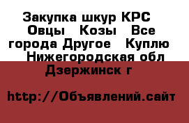 Закупка шкур КРС , Овцы , Козы - Все города Другое » Куплю   . Нижегородская обл.,Дзержинск г.